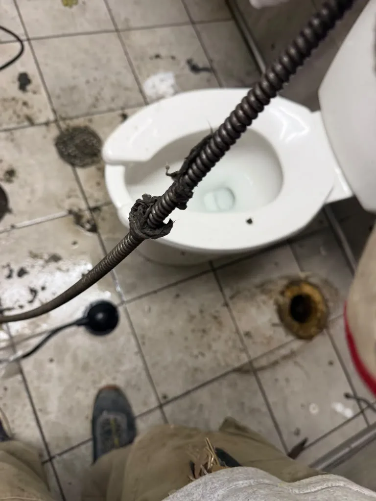Drain cleaning cable pulled from a toilet drain with a hair and debris clog attached to the cutting head